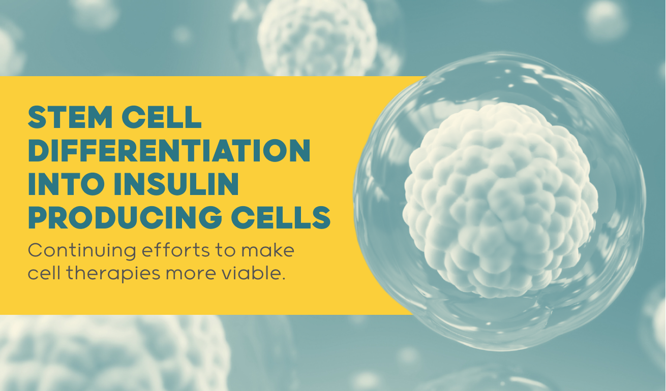 Stem cells differentiation into insulin-producing cells (IPCs): recent advances and current challenges